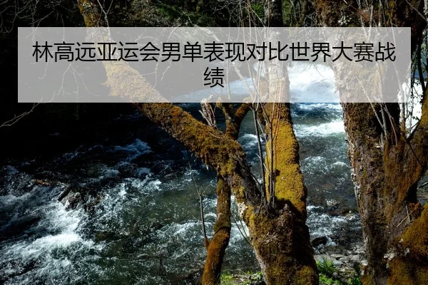 林高远亚运会男单表现对比世界大赛战绩